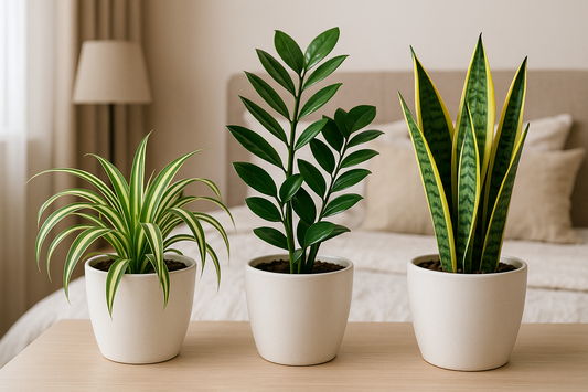 see give them all in three ports not in the single pot