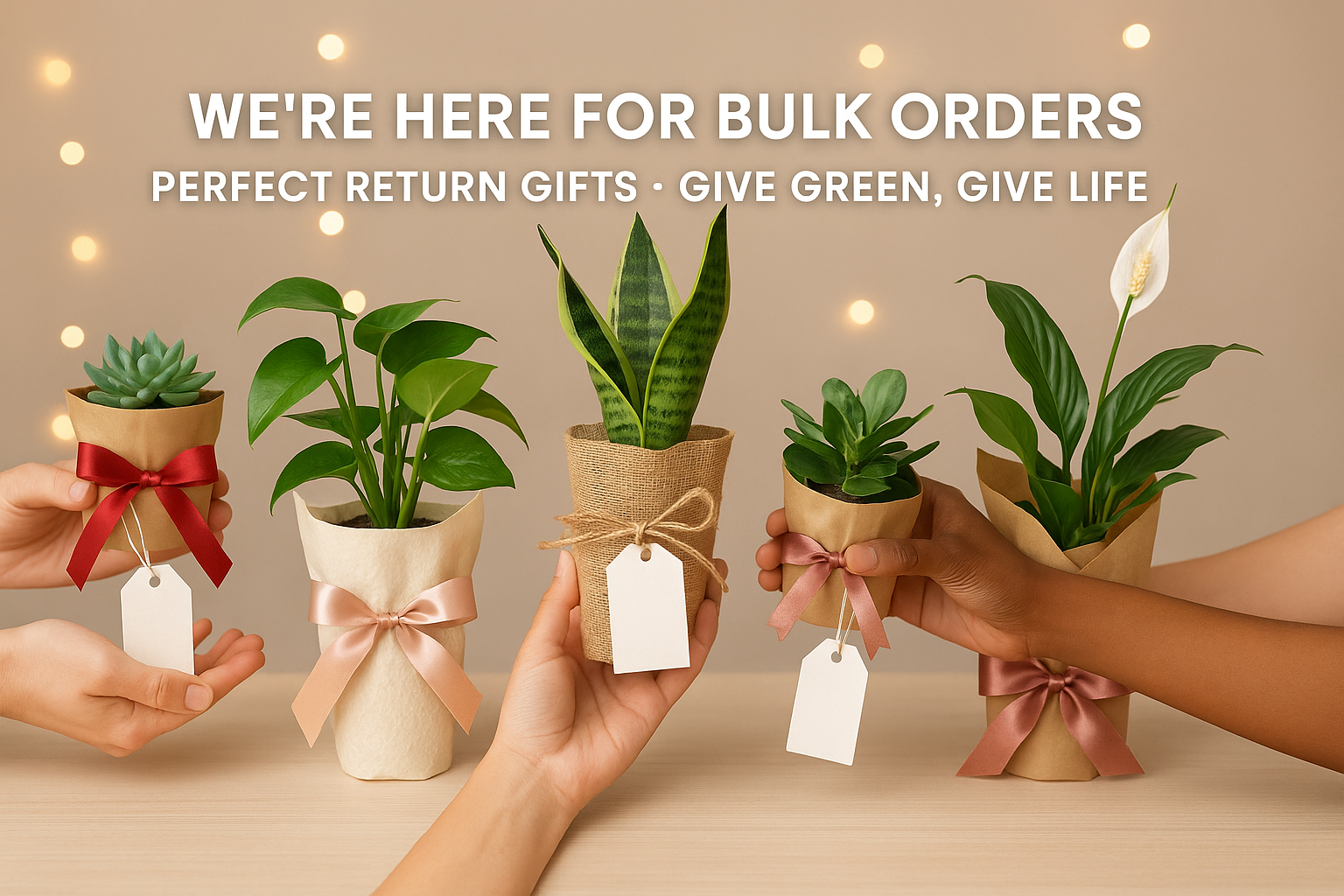 This is really good but do something good like giving the gifts as the plants and all